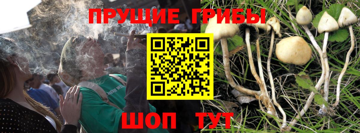 Галлюциногенные грибы прущие грибы Ульяновск