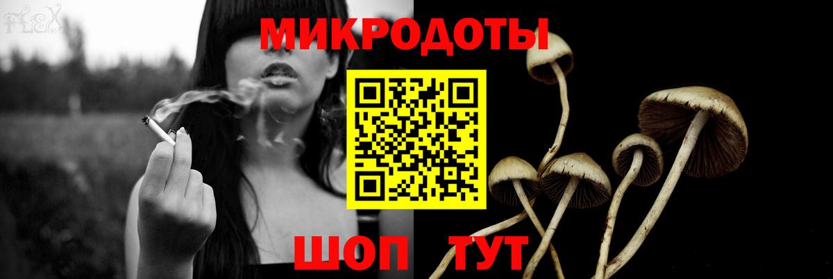 наркотики  Вход с VPN  Ульяновск  Псилоцибиновые грибы прущие грибы 